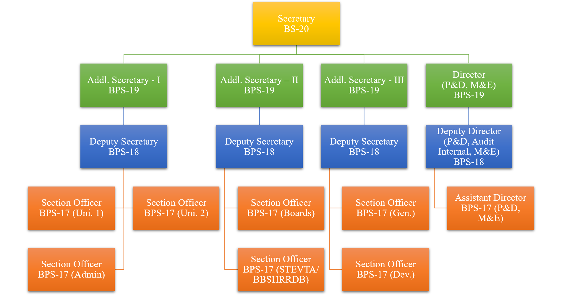 Organogram of the department